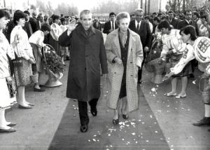 3440406_68cff040c5_m